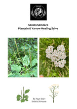 Load image into Gallery viewer, The Little Green Gift Box