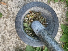 Load image into Gallery viewer, The Little Green Gift Box