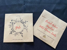 Load image into Gallery viewer, Yule Seed Pack - Angelica