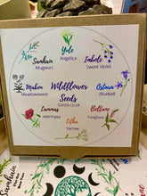 Load image into Gallery viewer, Wheel of the year wildflower seed gift set
