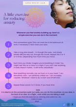 Load image into Gallery viewer, The Little Box of Calm