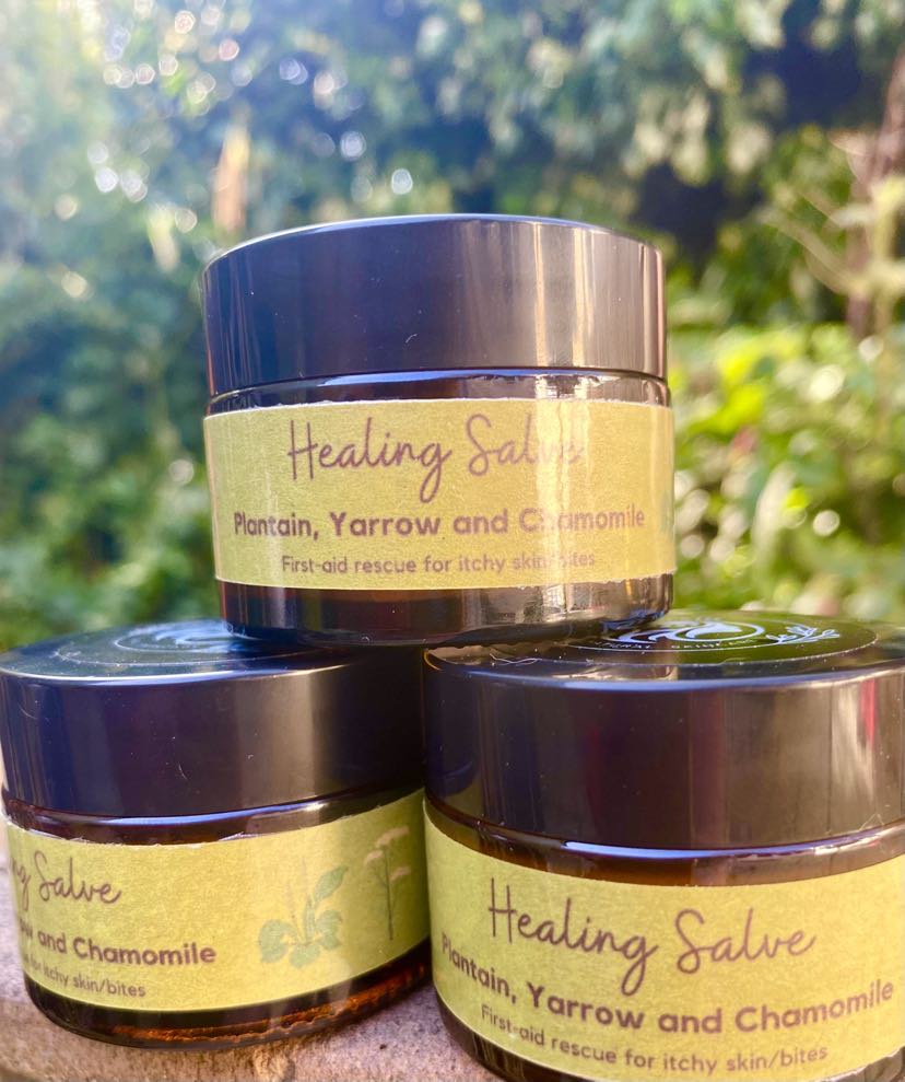 Plantain, Yarrow and Chamomile Healing Salve