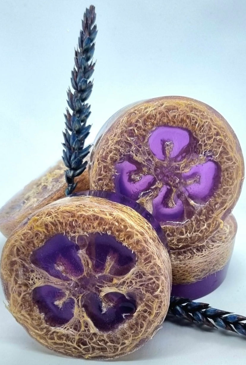 Lavender Loofa soap